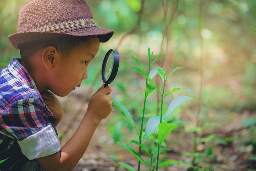 身近なものを観察し、「なぜ？」と考える子ども